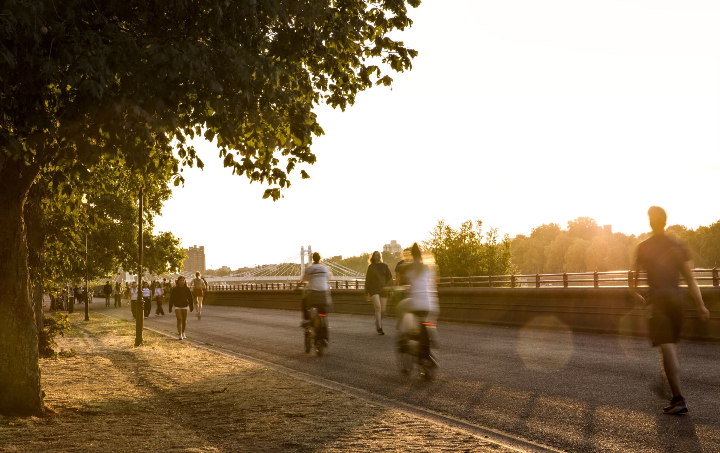 A tree-lined path at dusk, with people walking and cycling along it